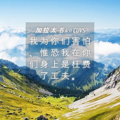 Picture 04 - 加 拉 太 书 4:11 CUVS - 我 为 你 们 害 怕 、 惟 恐 我 在 你 - Bible Verse Picture