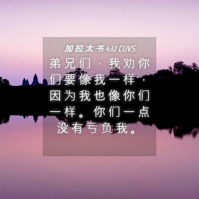 Picture 04 - 加 拉 太 书 4:12 CUVS - 弟 兄 们 ， 我 劝 你 们 要 像 我 一 - Bible Verse Picture