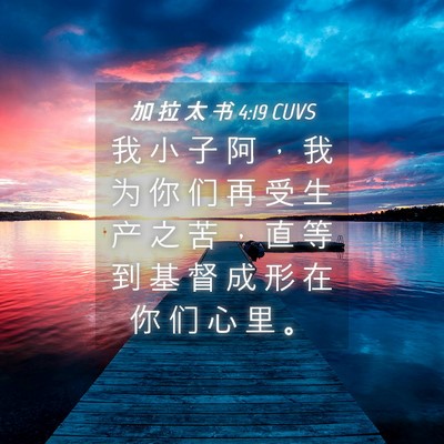 Picture 04 - 加 拉 太 书 4:19 CUVS - 我 小 子 阿 ， 我 为 你 们 再 受 生 - Bible Verse Picture