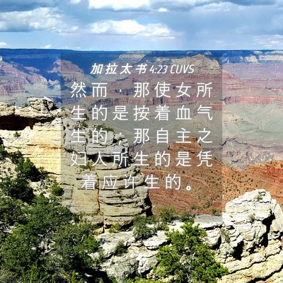Picture 04 - 加 拉 太 书 4:23 CUVS - 然 而 ， 那 使 女 所 生 的 是 按 着 - Bible Verse Picture