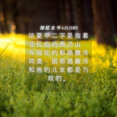 Picture 04 - 加 拉 太 书 4:25 CUVS - 这 夏 甲 二 字 是 指 着 亚 拉 伯 的 - Bible Verse Picture