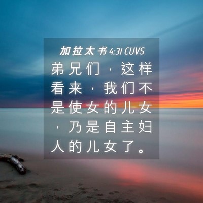 Picture 04 - 加 拉 太 书 4:31 CUVS - 弟 兄 们 ， 这 样 看 来 ， 我 们 不 - Bible Verse Picture