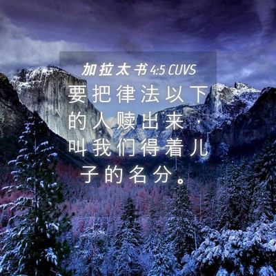 Picture 04 - 加 拉 太 书 4:5 CUVS - 要 把 律 法 以 下 的 人 赎 出 来 ， - Bible Verse Picture