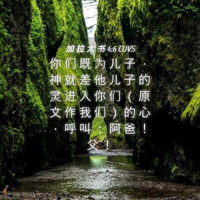 Picture 04 - 加 拉 太 书 4:6 CUVS - 你 们 既 为 儿 子 ， 神 就 差 他 儿 - Bible Verse Picture