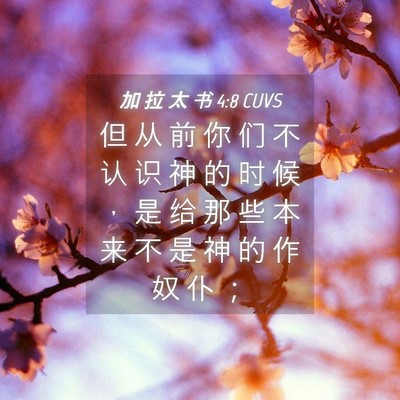 Picture 04 - 加 拉 太 书 4:8 CUVS - 但 从 前 你 们 不 认 识 神 的 时 候 - Bible Verse Picture