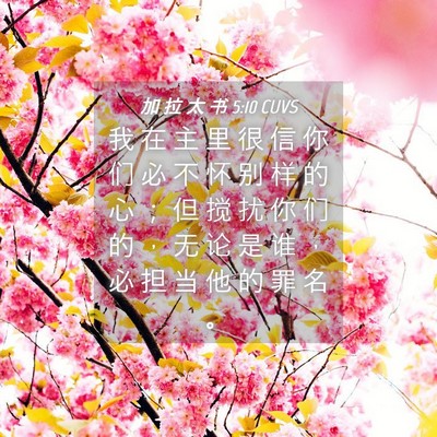Picture 04 - 加 拉 太 书 5:10 CUVS - 我 在 主 里 很 信 你 们 必 不 怀 别 - Bible Verse Picture