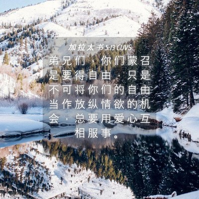 Picture 04 - 加 拉 太 书 5:13 CUVS - 弟 兄 们 ， 你 们 蒙 召 是 要 得 自 - Bible Verse Picture