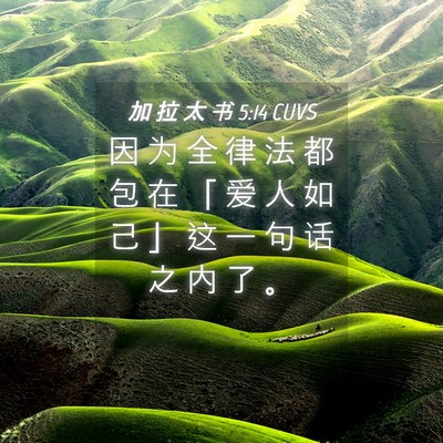 Picture 04 - 加 拉 太 书 5:14 CUVS - 因 为 全 律 法 都 包 在 「 爱 人 如 - Bible Verse Picture