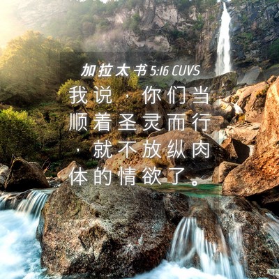 Picture 04 - 加 拉 太 书 5:16 CUVS - 我 说 ， 你 们 当 顺 着 圣 灵 而 行 - Bible Verse Picture