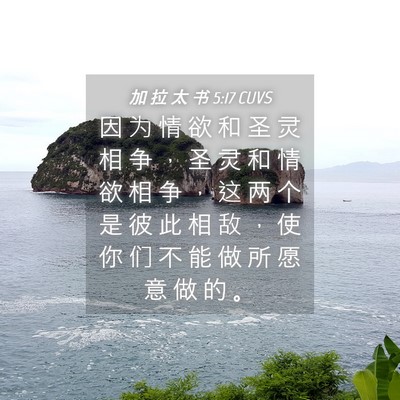 Picture 04 - 加 拉 太 书 5:17 CUVS - 因 为 情 欲 和 圣 灵 相 争 ， 圣 灵 - Bible Verse Picture