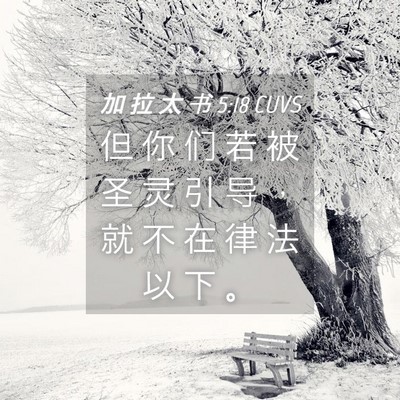 Picture 04 - 加 拉 太 书 5:18 CUVS - 但 你 们 若 被 圣 灵 引 导 ， 就 不 - Bible Verse Picture