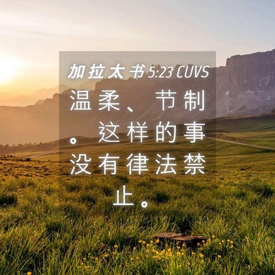 Picture 04 - 加 拉 太 书 5:23 CUVS - 温 柔 、 节 制 。 这 样 的 事 没 有 - Bible Verse Picture