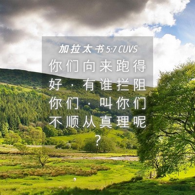 Picture 04 - 加 拉 太 书 5:7 CUVS - 你 们 向 来 跑 得 好 ， 有 谁 拦 阻 - Bible Verse Picture