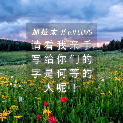 Picture 04 - 加 拉 太 书 6:11 CUVS - 请 看 我 亲 手 写 给 你 们 的 字 是 - Bible Verse Picture
