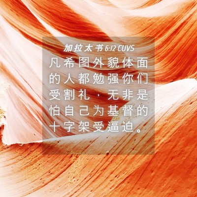 Picture 04 - 加 拉 太 书 6:12 CUVS - 凡 希 图 外 貌 体 面 的 人 都 勉 强 - Bible Verse Picture