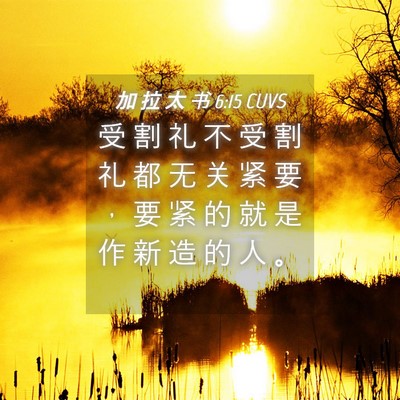 Picture 04 - 加 拉 太 书 6:15 CUVS - 受 割 礼 不 受 割 礼 都 无 关 紧 要 - Bible Verse Picture