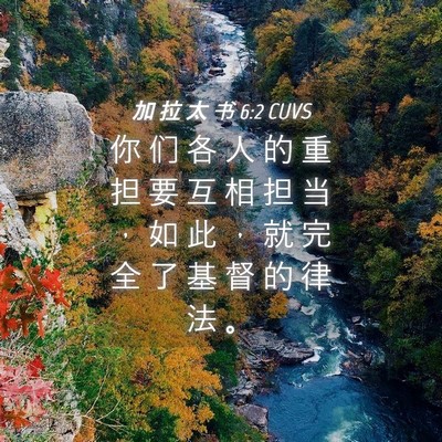 Picture 04 - 加 拉 太 书 6:2 CUVS - 你 们 各 人 的 重 担 要 互 相 担 当 - Bible Verse Picture