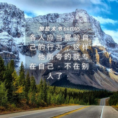 Picture 04 - 加 拉 太 书 6:4 CUVS - 各 人 应 当 察 验 自 己 的 行 为 ； - Bible Verse Picture