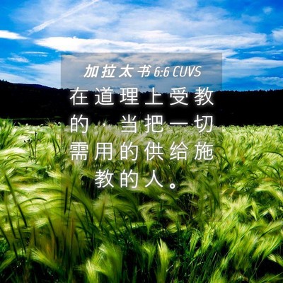Picture 04 - 加 拉 太 书 6:6 CUVS - 在 道 理 上 受 教 的 ， 当 把 一 切 - Bible Verse Picture