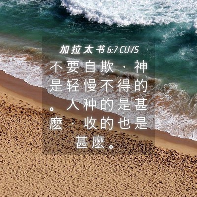 Picture 04 - 加 拉 太 书 6:7 CUVS - 不 要 自 欺 ， 神 是 轻 慢 不 得 的 - Bible Verse Picture