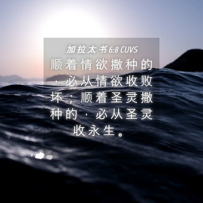 Picture 04 - 加 拉 太 书 6:8 CUVS - 顺 着 情 欲 撒 种 的 ， 必 从 情 欲 - Bible Verse Picture