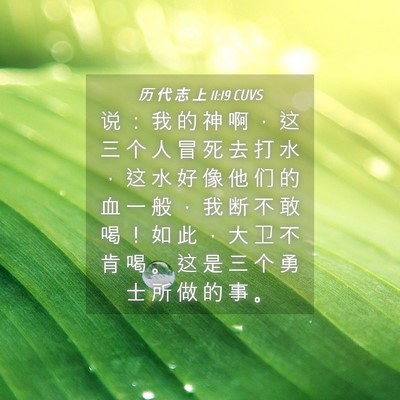 Picture 04 - 历 代 志 上 11:19 CUVS - 说 ： 我 的 神 啊 ， 这 三 个 人 冒 - Bible Verse Picture