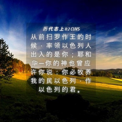 Picture 04 - 历 代 志 上 11:2 CUVS - 从 前 扫 罗 作 王 的 时 候 ， 率 领 - Bible Verse Picture
