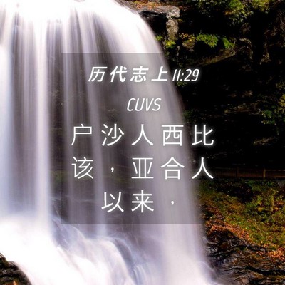 Picture 04 - 历 代 志 上 11:29 CUVS - 户 沙 人 西 比 该 ， 亚 合 人 以 来 - Bible Verse Picture