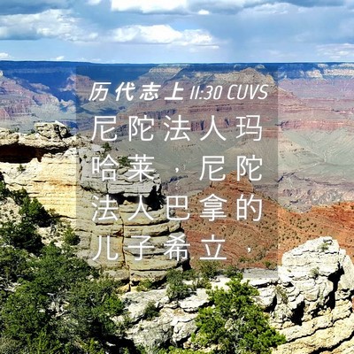 Picture 04 - 历 代 志 上 11:30 CUVS - 尼 陀 法 人 玛 哈 莱 ， 尼 陀 法 人 - Bible Verse Picture