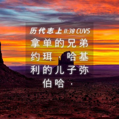 Picture 04 - 历 代 志 上 11:38 CUVS - 拿 单 的 兄 弟 约 珥 ， 哈 基 利 的 - Bible Verse Picture