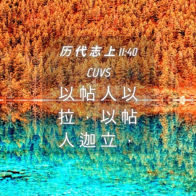 Picture 04 - 历 代 志 上 11:40 CUVS - 以 帖 人 以 拉 ， 以 帖 人 迦 立 - Bible Verse Picture