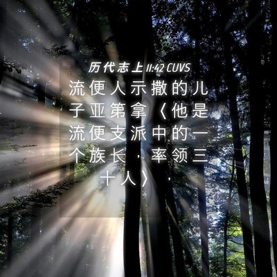 Picture 04 - 历 代 志 上 11:42 CUVS - 流 便 人 示 撒 的 儿 子 亚 第 拿 〈 - Bible Verse Picture