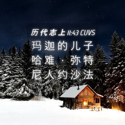 Picture 04 - 历 代 志 上 11:43 CUVS - 玛 迦 的 儿 子 哈 难 ， 弥 特 尼 人 - Bible Verse Picture