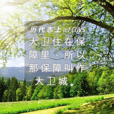 Picture 04 - 历 代 志 上 11:7 CUVS - 大 卫 住 在 保 障 里 ， 所 以 那 保 - Bible Verse Picture