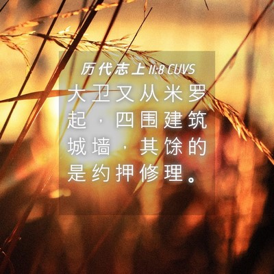 Picture 04 - 历 代 志 上 11:8 CUVS - 大 卫 又 从 米 罗 起 ， 四 围 建 筑 - Bible Verse Picture