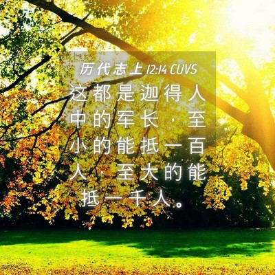 Picture 04 - 历 代 志 上 12:14 CUVS - 这 都 是 迦 得 人 中 的 军 长 ， 至 - Bible Verse Picture