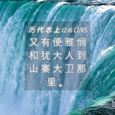 Picture 04 - 历 代 志 上 12:16 CUVS - 又 有 便 雅 悯 和 犹 大 人 到 山 寨 - Bible Verse Picture