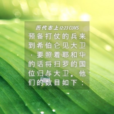 Picture 04 - 历 代 志 上 12:23 CUVS - 预 备 打 仗 的 兵 来 到 希 伯 仑 见 - Bible Verse Picture