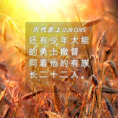 Picture 04 - 历 代 志 上 12:28 CUVS - 还 有 少 年 大 能 的 勇 士 撒 督 ， - Bible Verse Picture