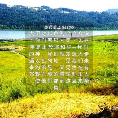 Picture 04 - 历 代 志 上 13:2 CUVS - 大 卫 对 以 色 列 全 会 众 说 ： 你 - Bible Verse Picture