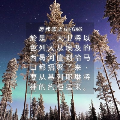Picture 04 - 历 代 志 上 13:5 CUVS - 於 是 ， 大 卫 将 以 色 列 人 从 埃 - Bible Verse Picture