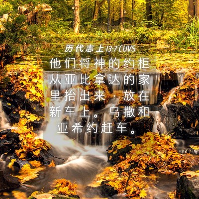 Picture 04 - 历 代 志 上 13:7 CUVS - 他 们 将 神 的 约 柜 从 亚 比 拿 达 - Bible Verse Picture