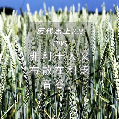 Picture 04 - 历 代 志 上 14:13 CUVS - 非 利 士 人 又 布 散 在 利 乏 音 谷 - Bible Verse Picture