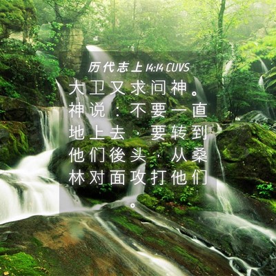 Picture 04 - 历 代 志 上 14:14 CUVS - 大 卫 又 求 问 神 。 神 说 ： 不 要 - Bible Verse Picture