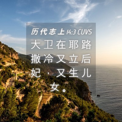 Picture 04 - 历 代 志 上 14:3 CUVS - 大 卫 在 耶 路 撒 冷 又 立 后 妃 ， - Bible Verse Picture