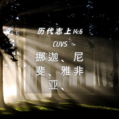 Picture 04 - 历 代 志 上 14:6 CUVS - 挪 迦 、 尼 斐 、 雅 非 亚 - Bible Verse Picture