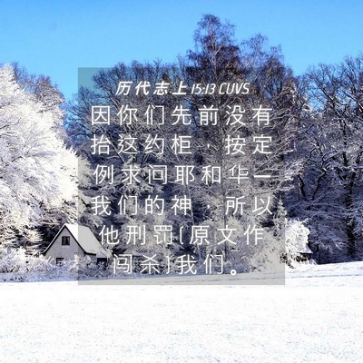 Picture 04 - 历 代 志 上 15:13 CUVS - 因 你 们 先 前 没 有 抬 这 约 柜 ， - Bible Verse Picture