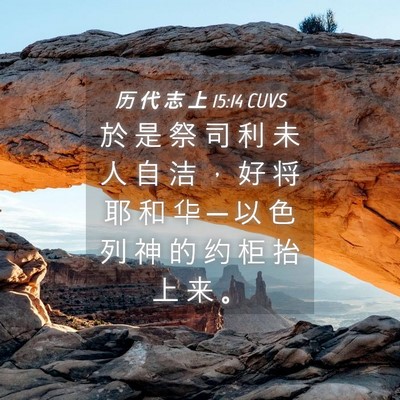 Picture 04 - 历 代 志 上 15:14 CUVS - 於 是 祭 司 利 未 人 自 洁 ， 好 将 - Bible Verse Picture