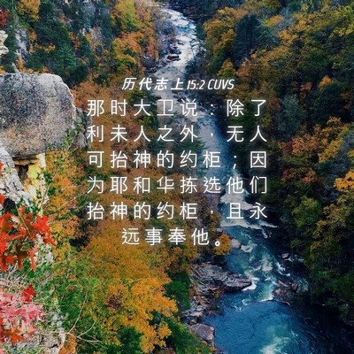 Picture 04 - 历 代 志 上 15:2 CUVS - 那 时 大 卫 说 ： 除 了 利 未 人 之 - Bible Verse Picture