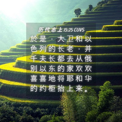 Picture 04 - 历 代 志 上 15:25 CUVS - 於 是 ， 大 卫 和 以 色 列 的 长 老 - Bible Verse Picture